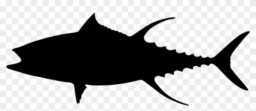 Tuna, Fish, Animal, Swim, Ocean, Water, Sea, Food - Tuna Fish Silhouette Clipart #1644547