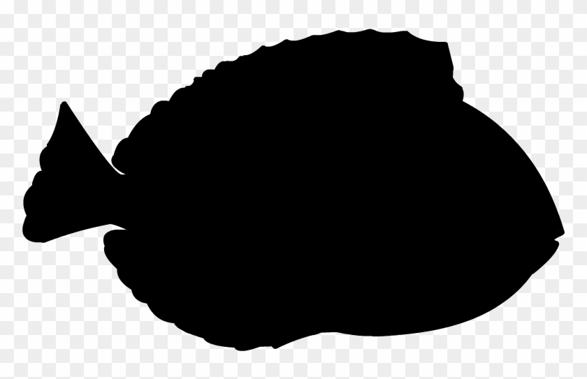 800 X 600 0 - Blue Tang Fish Silhouette Clipart #1644866