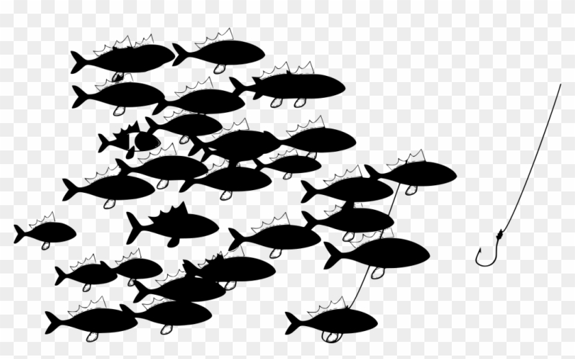 Download Png - Tuna Clipart #1644927