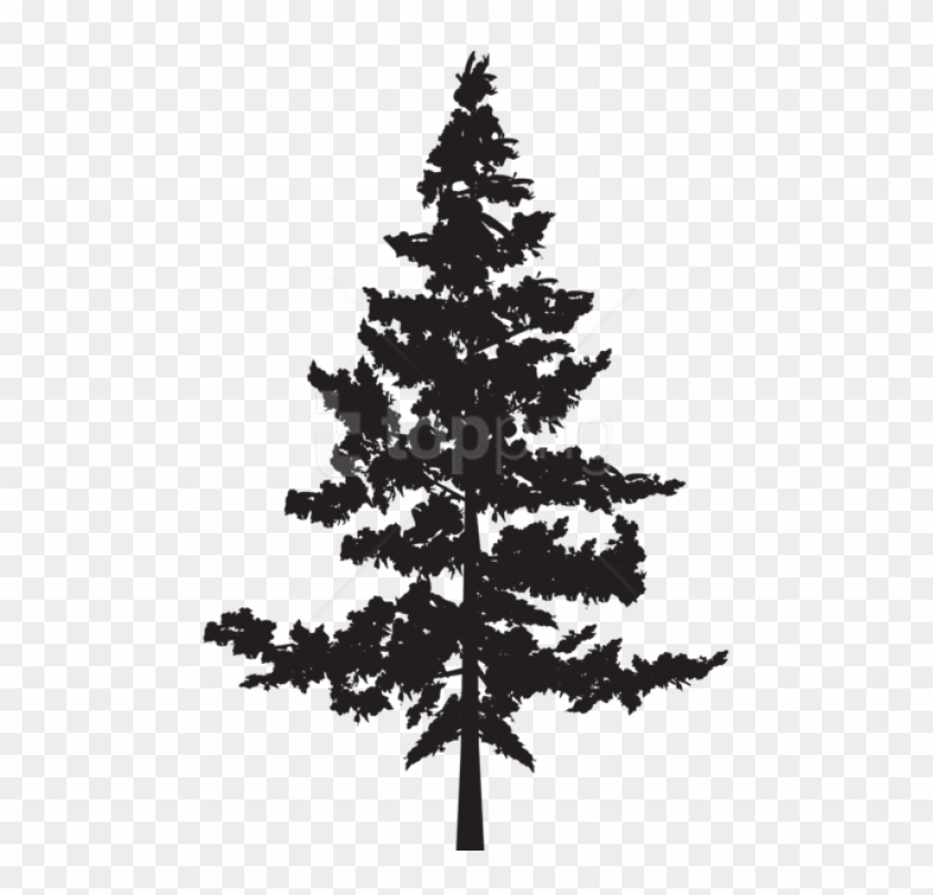 Free Png Tree Png Silhouette Png Images Transparent - Pine Trees Silhouette Png Clipart