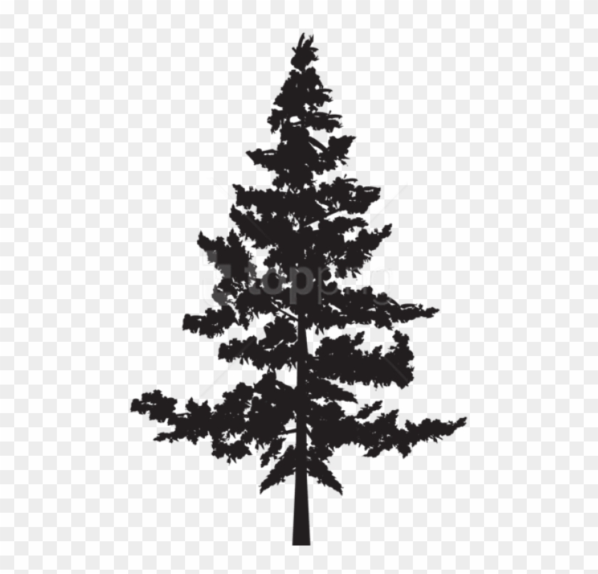 Free Png Tree Png Silhouette Png Images Transparent - Pine Trees Silhouette Png Clipart #1645691