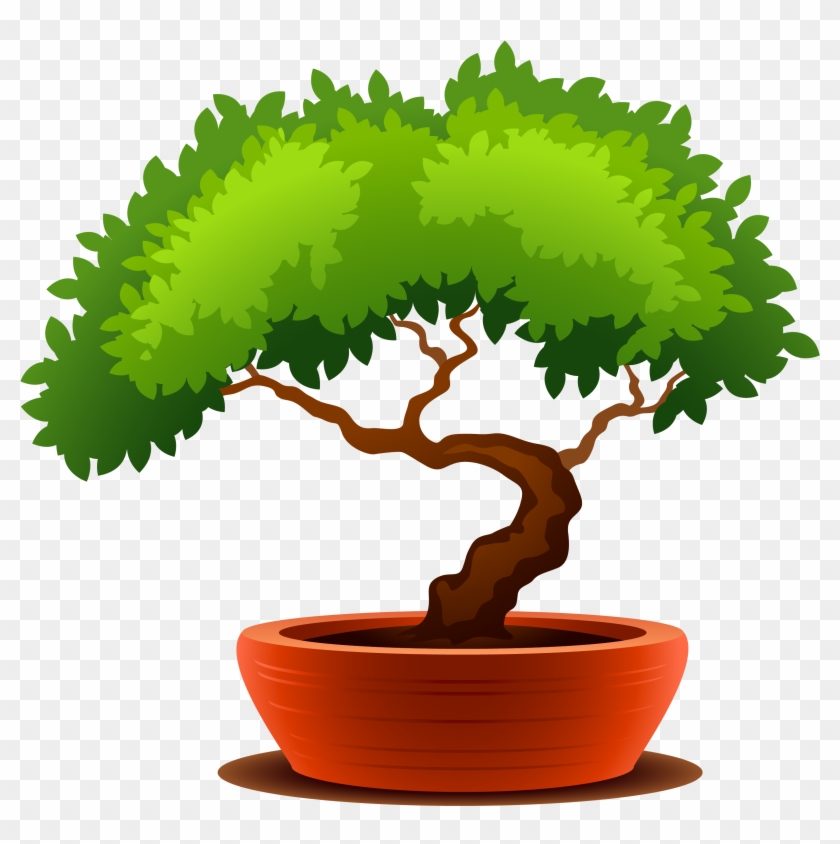 Clipart Library Download Table Bonsai Furniture Chair - Bonsai Tree Png Transparent Png #1647326