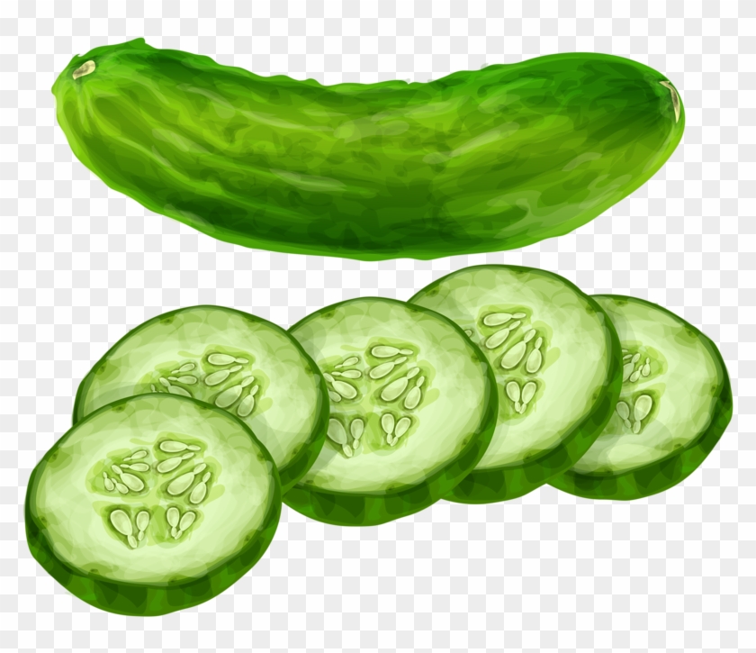 Cucumber - Pepino - Cucumber Clipart - Png Download #1648503