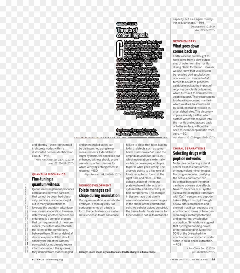 Borealis - Partitur - J. Beuys. Gallery Jan Wagner, Clipart