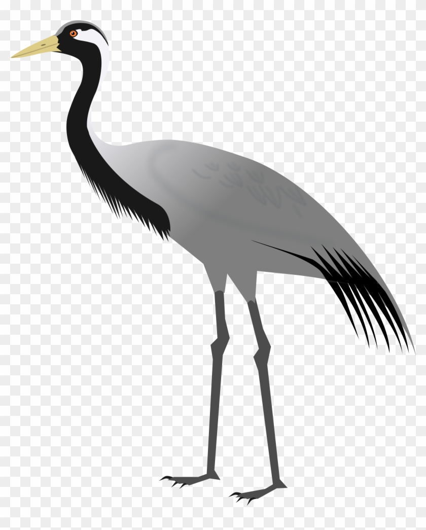 Birds Transparent Crane - Demoiselle Crane Clipart #1649647