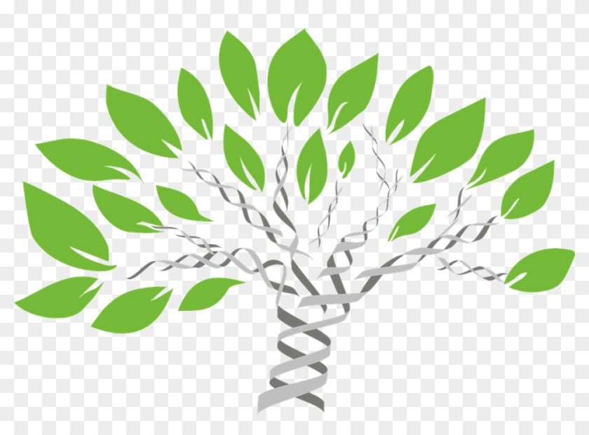 Life Png - Family Dna Clipart #1651261