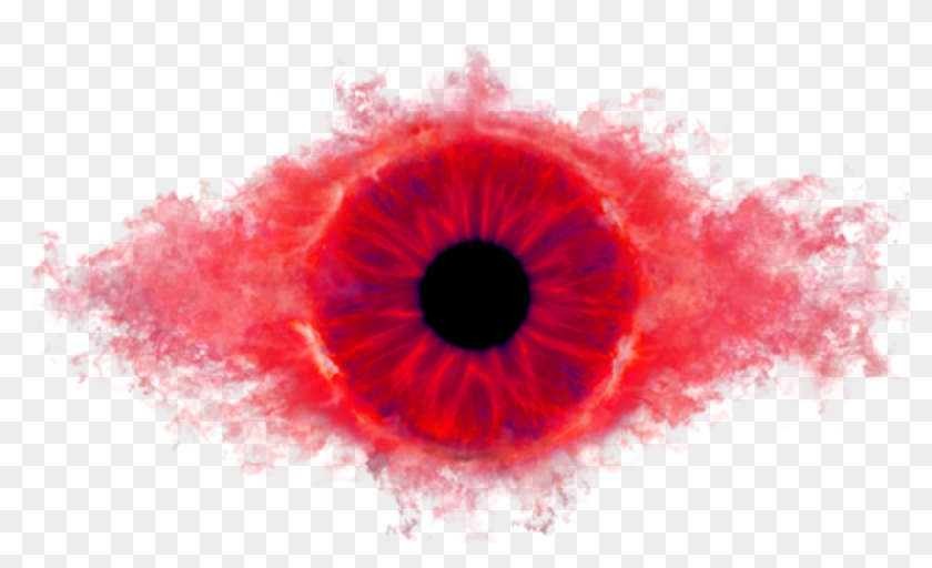 Close-up Clipart #1651527