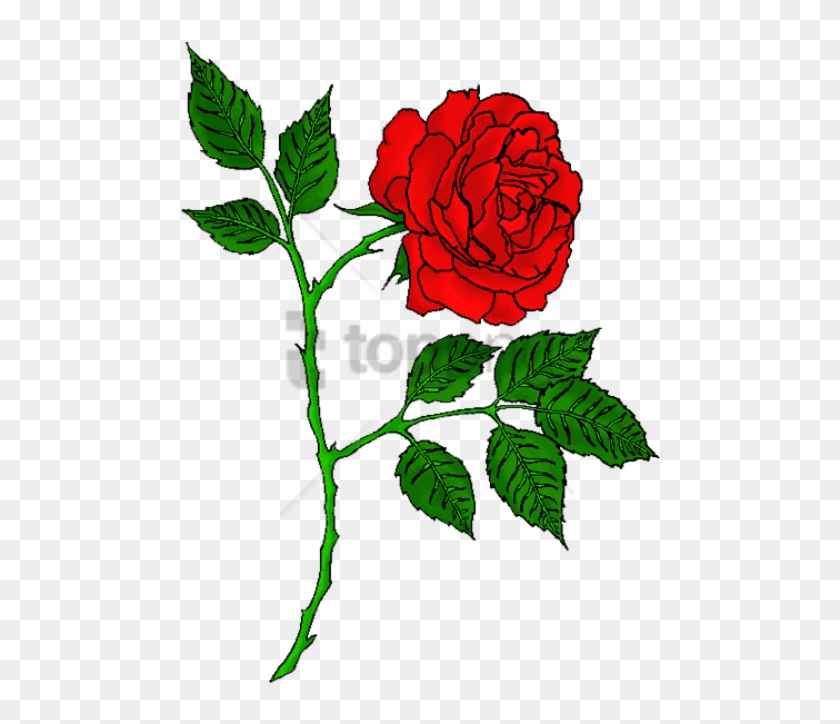 Free Png Red Rose Tattoo Transparent Png Image With - Rose Tattoo Png Clipart