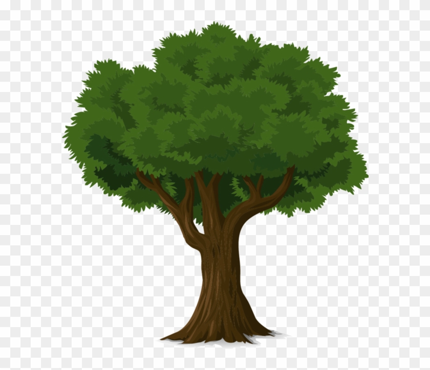 Tree Forest, Trees To Plant, Tree Wall Art, Tree Art, - Png Tree Illustration Clipart