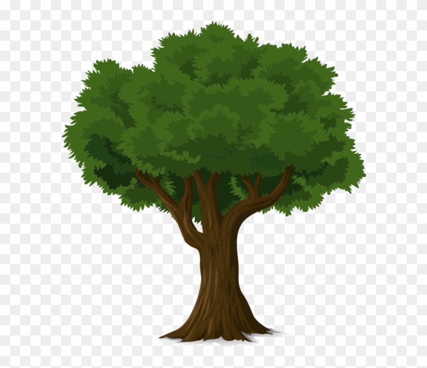 Tree Forest, Trees To Plant, Tree Wall Art, Tree Art, - Png Tree Illustration Clipart #1653348