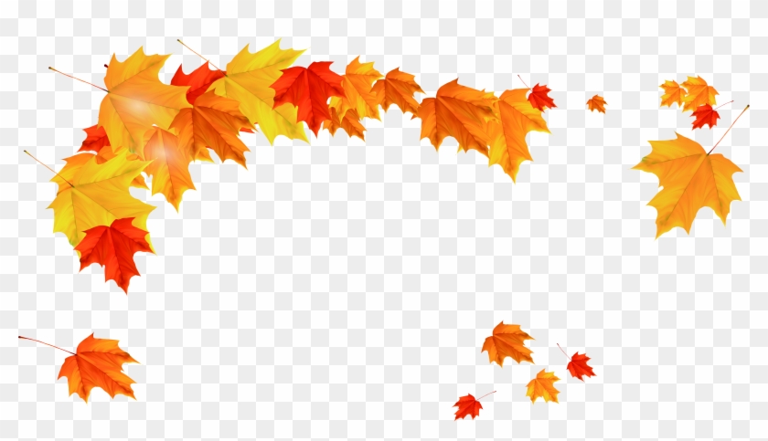 Maple Leaf Clipart Watermelon - Maple Leaves Png Border Transparent Png
