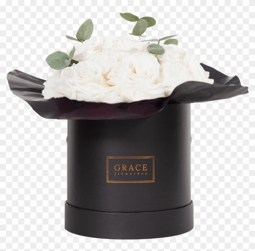 White Carnation - Jasmine Clipart #1653418