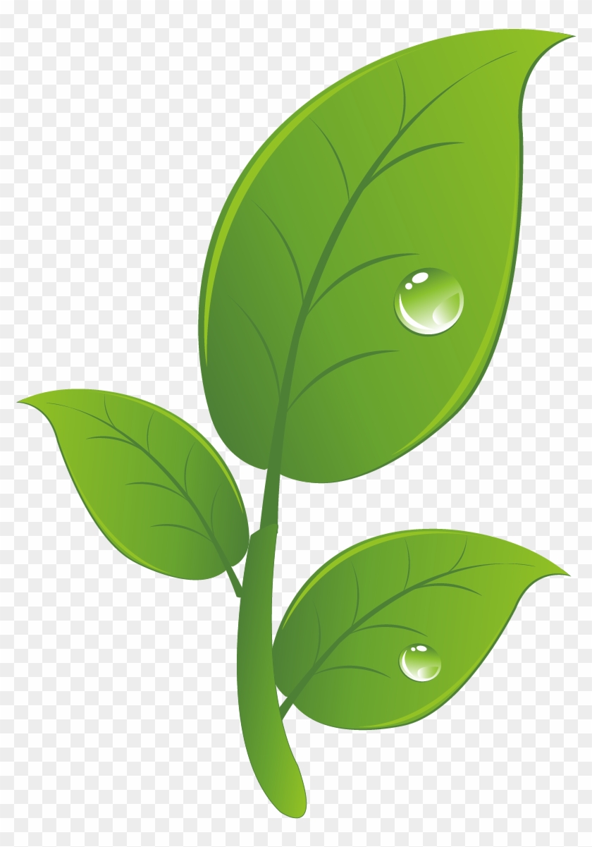 Hacked Android Clip Art - Floral Design - Png Download #1653670