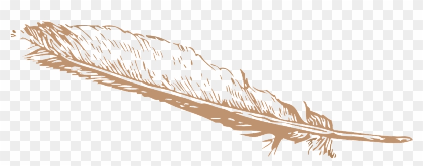 Png Freeuse Library Free Image On Pixabay Feather Pinion - Feather Clip Art Transparent Png #1654276