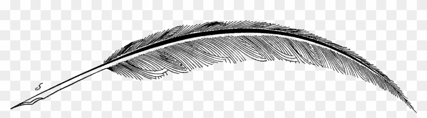 Quill Transparent Transparent Background - Feather Pen No Background Clipart #1654323