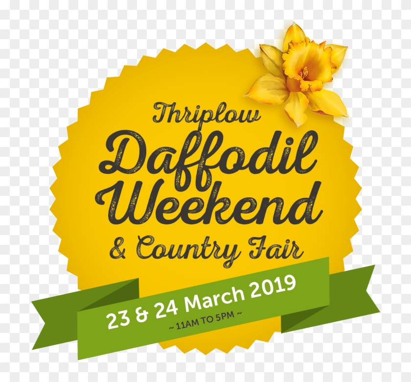 Thriplow Daffodil Weekend - Healthy Happy Life Clipart