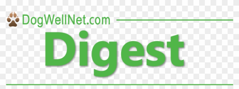 Issue - Brainforest Gabon Clipart #1654752