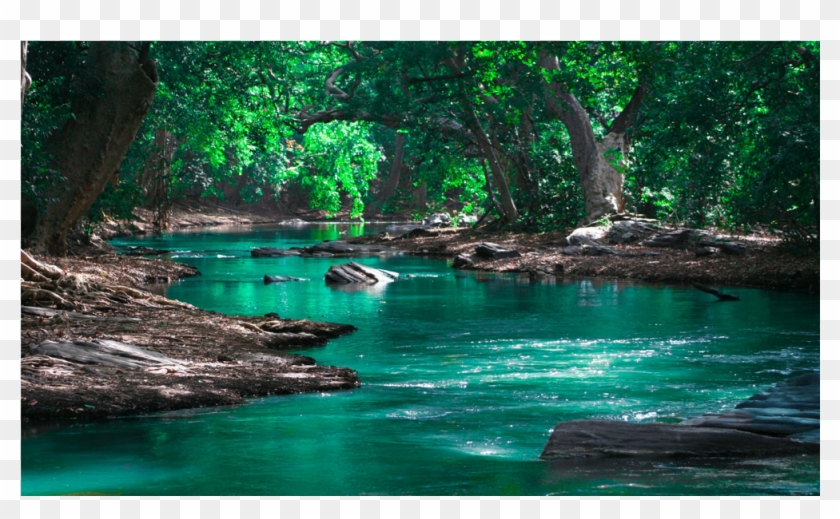 Score 50% - Environmental Issues Clipart