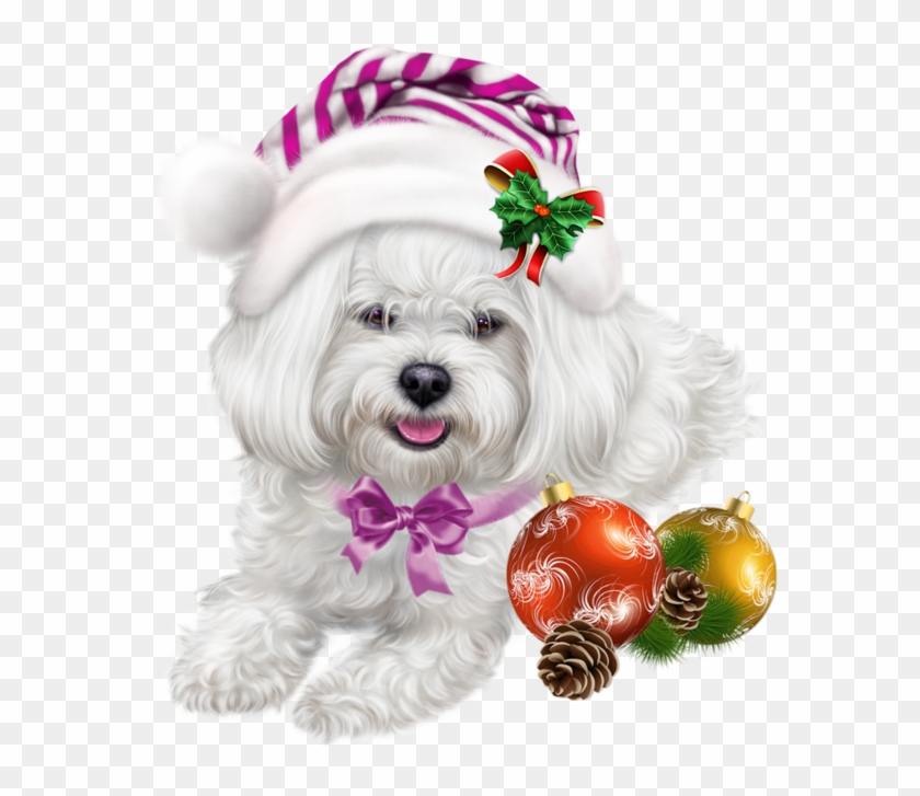 600 X 661 3 - Christmas Puppy Images Clipart - Png Download #1656243