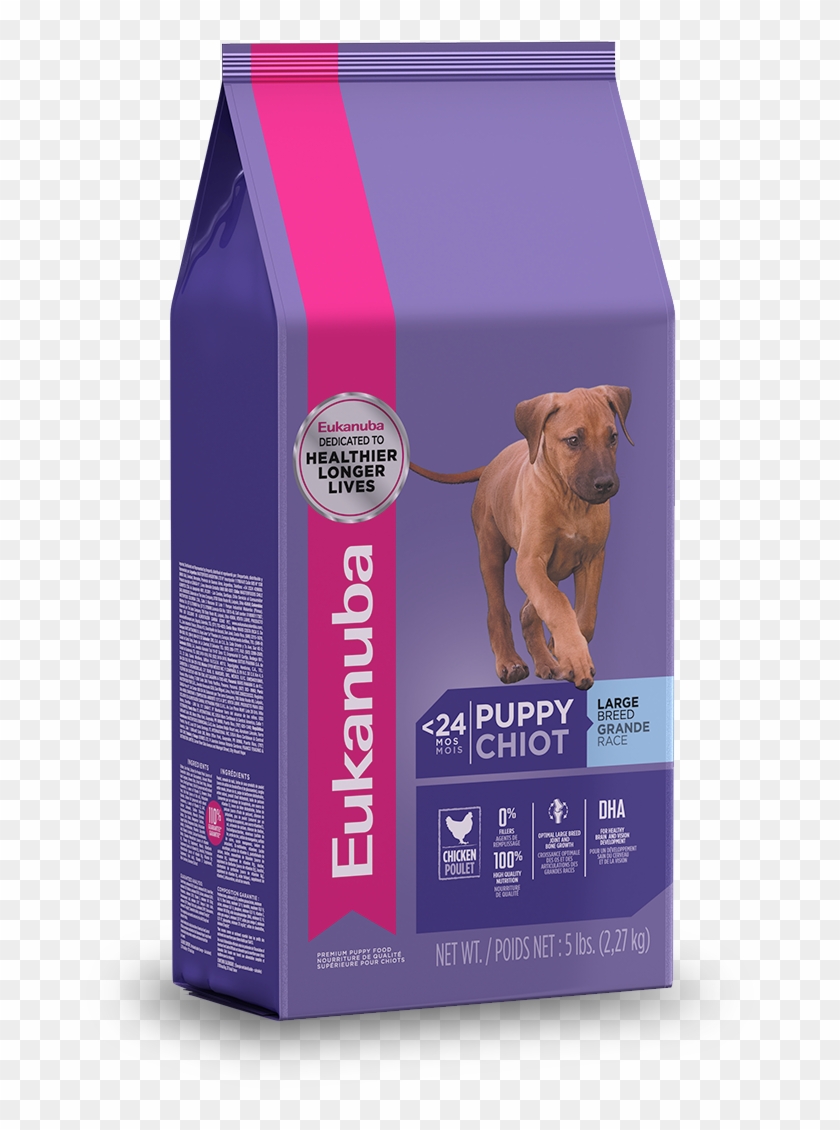 Eukanuba Large Breed Puppy Food - Eukanuba Puppy Large Breed Clipart