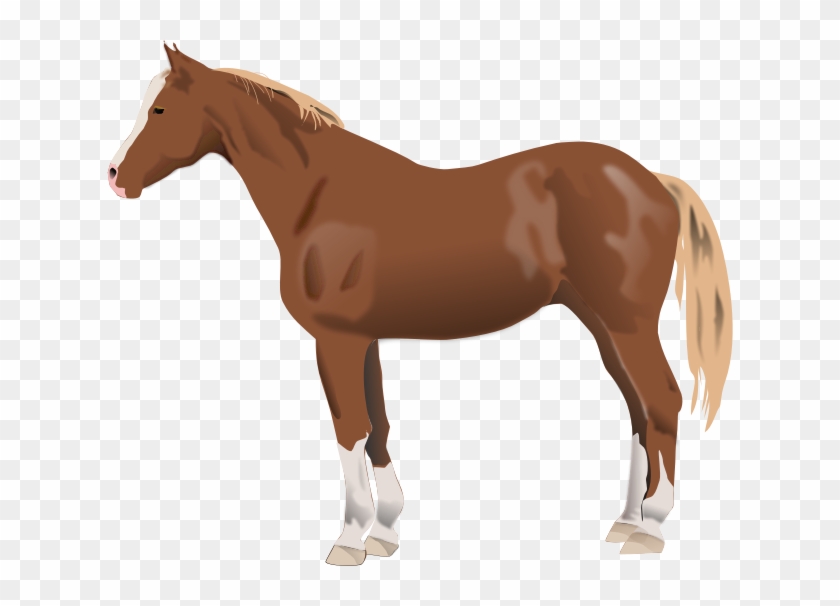 Horse Clipart Ba Horse Clipart Download Horse Clip - Qui Suis Je Animaux - Png Download #1656677