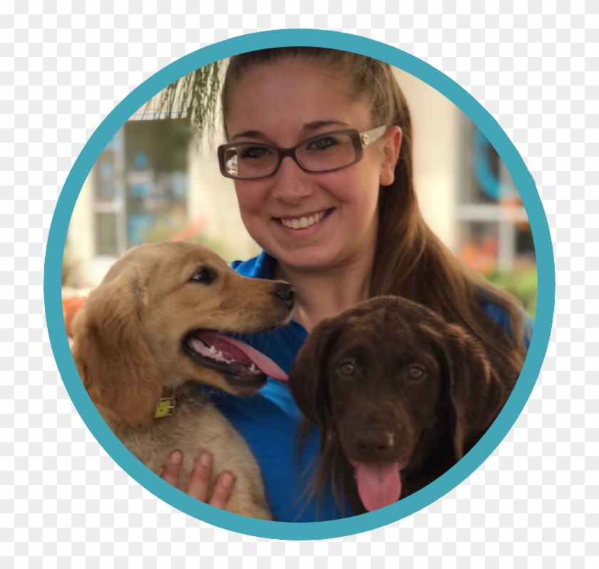 Amber-puppies - Companion Dog Clipart