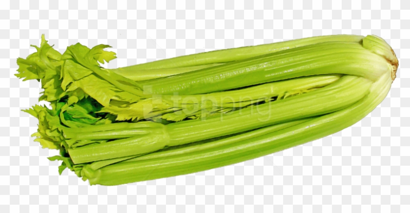 Free Png Green Celery Png Images Transparent - Celery Clipart