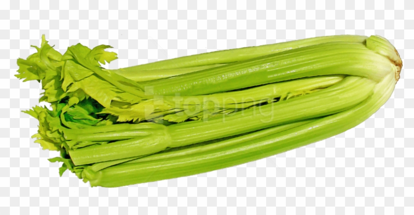 Free Png Green Celery Png Images Transparent - Celery Clipart #1657216