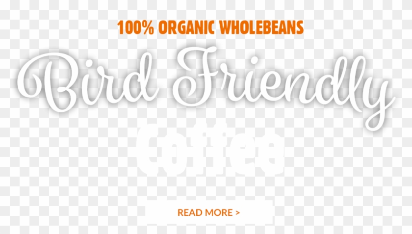 100% Organic Wholebeans - Calligraphy Clipart #1657221