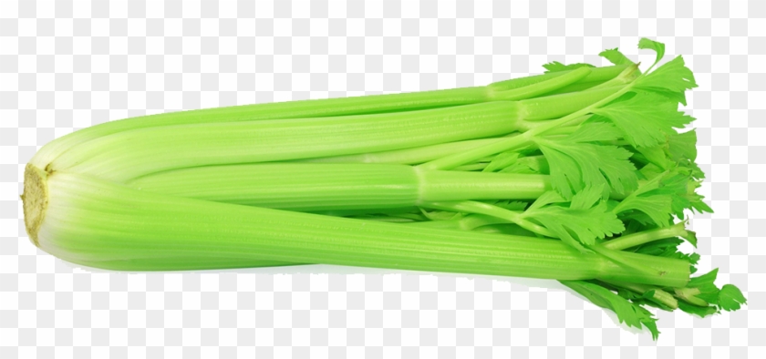 Celery - Celery With White Background Clipart #1657301