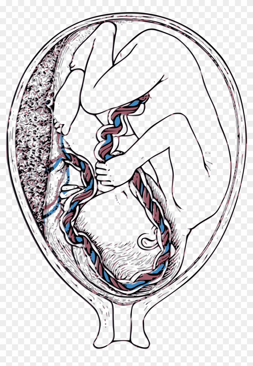 This Free Icons Png Design Of Inside Mother Clipart #1657626