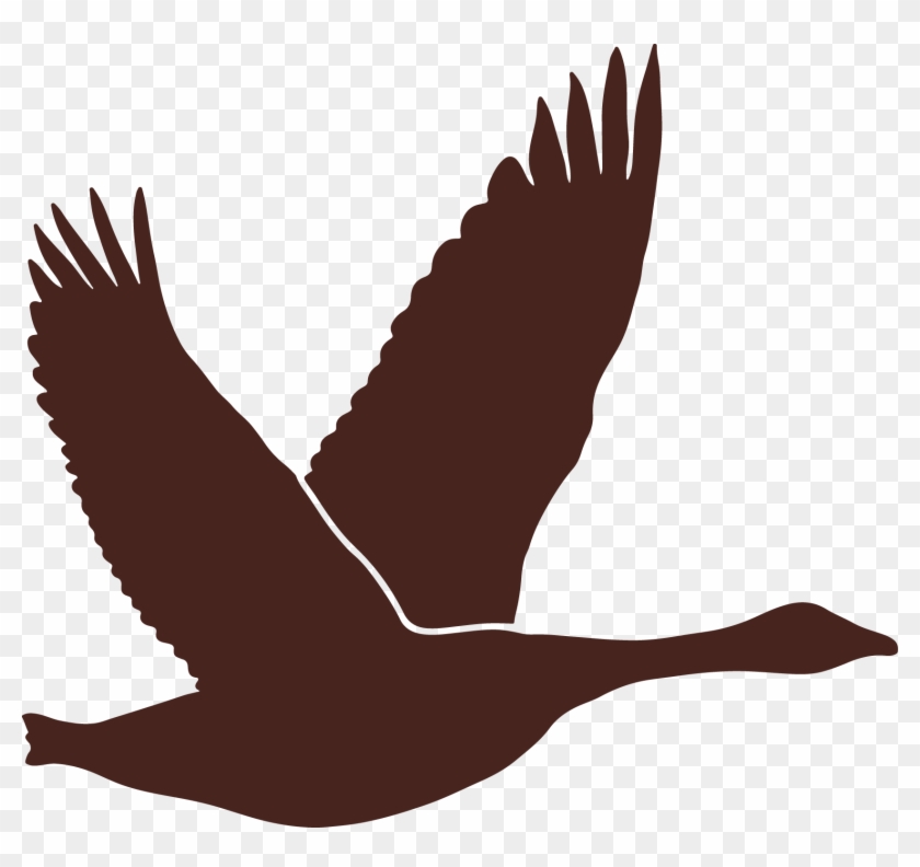 Bear Brown Silhouette Of A Canadian Goose Clipart #1659492