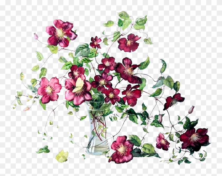 Clematis-vase - Watercolor Painting Clipart