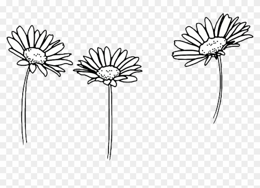 Comfortable Drawing Outline Sunflowers - Black And White Doodles Flowers Clipart #1660924