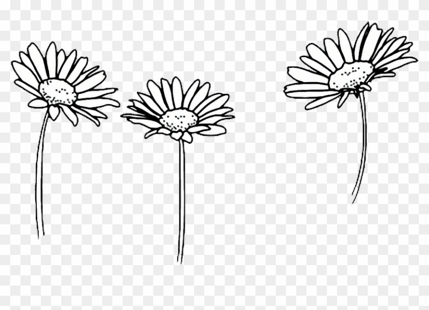 Comfortable Drawing Outline Sunflowers - Black And White Doodles Flowers Clipart