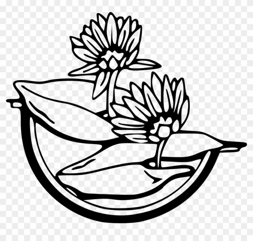 Water Black And White Free Vector Graphic Flowers Black - Water Lily Clipart Black And White - Png Download #1661625