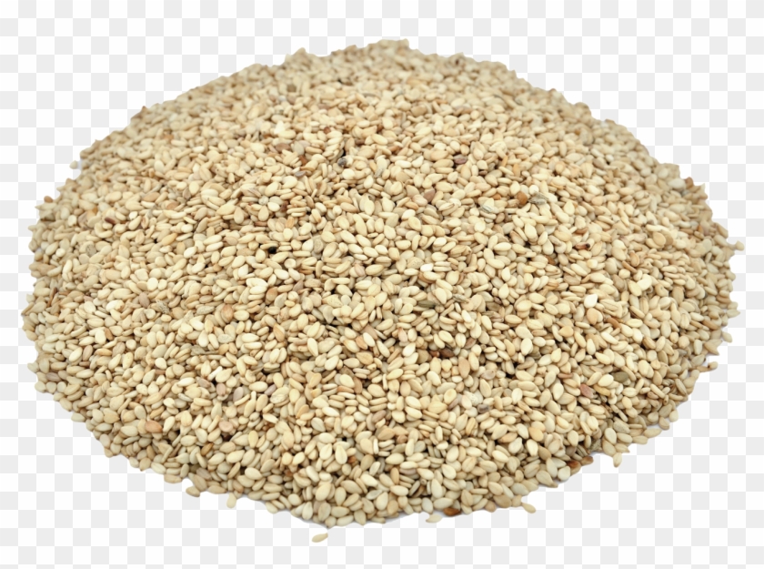 Herbs & Botanicals-sesame Seeds - Barley Clipart #1662171