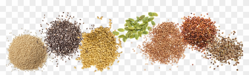 Learn More About Our Ingredients - Sesame Clipart #1662180