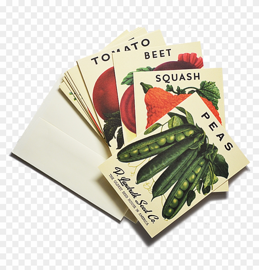 As Featured In House Beautiful Magazine We Chose 18 - Vegetable Seed Seed Packet Png Clipart #1662347