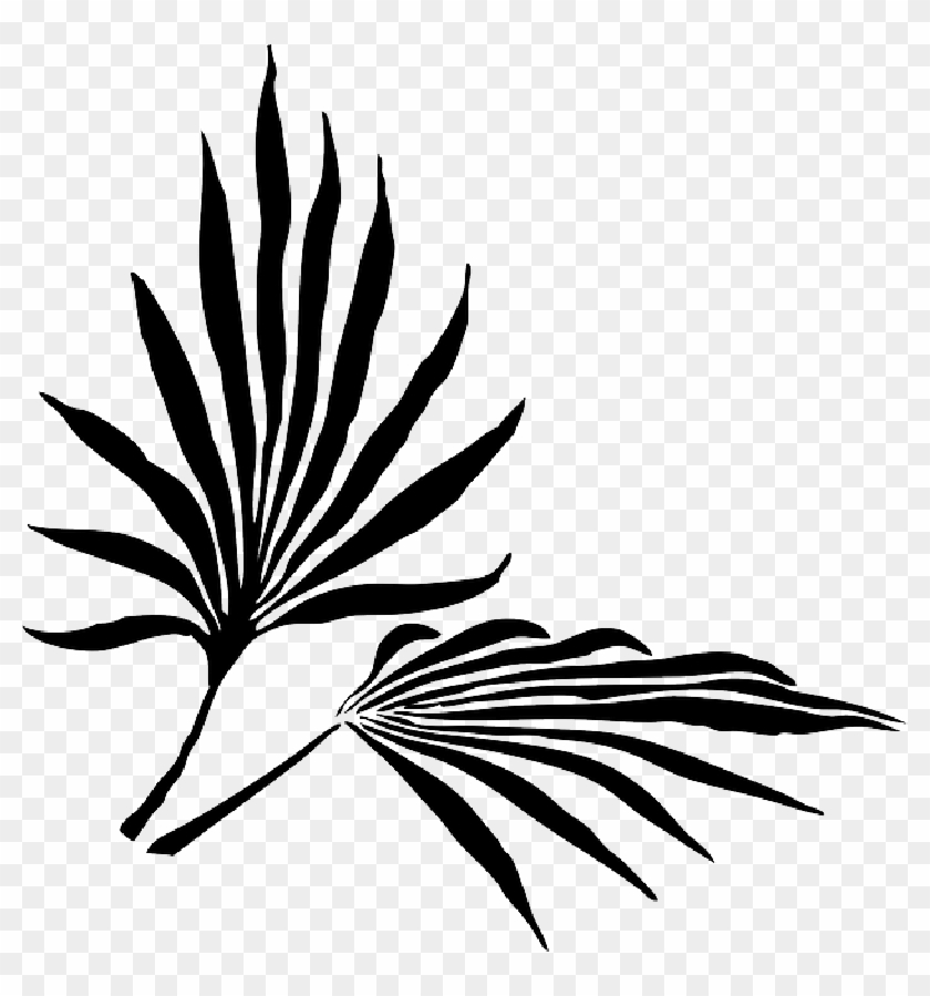 Palm Fronds Png Search Results Landscaping Gallery - Palm Leaves Silhouette Png Clipart