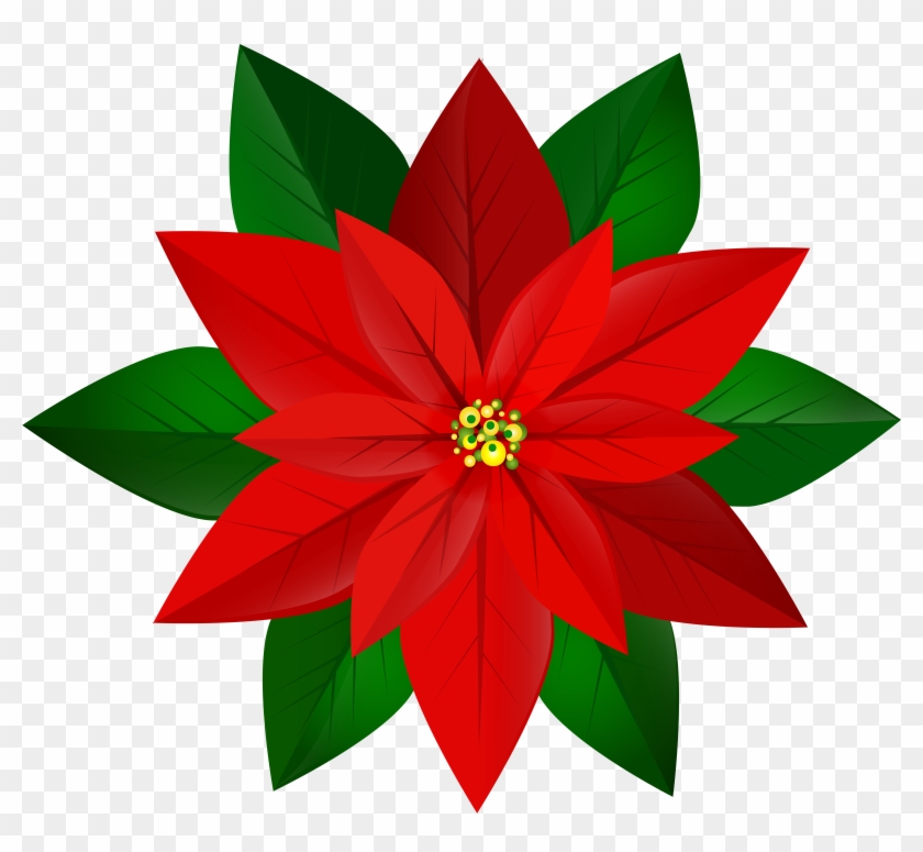 Christmas Red Poinsettia Png Clip Art Image Transparent Png #1663819