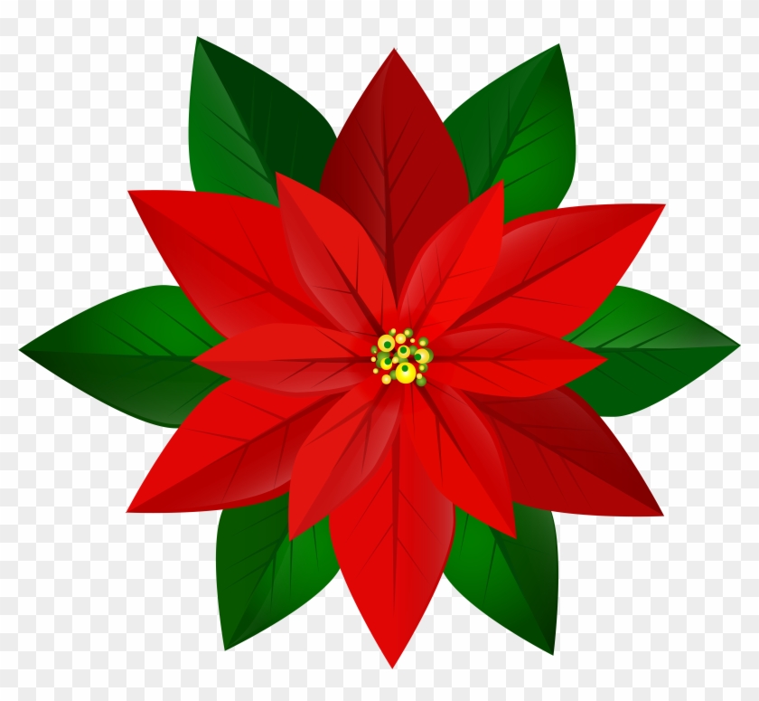 Christmas Red Poinsettia Png Clip Art Image Transparent Png