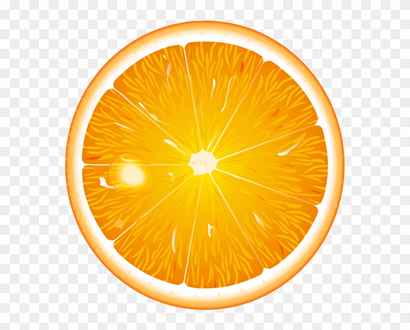 Round Orange Slice Png Clip Art - Round Orange Clip Art Transparent Png #1663886