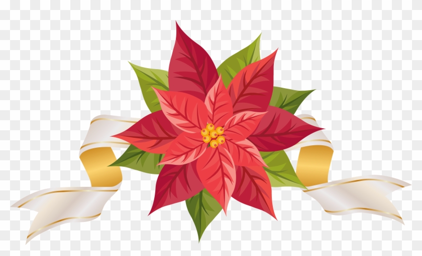 Poinsettia With Ribbon Png Clipart Image - Clip Art Transparent Poinsettia #1663945