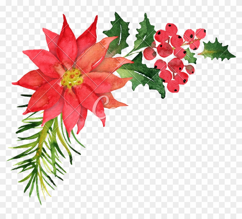 800 X 679 4 - Watercolor Poinsettia Wreath Clipart - Png Download #1663981