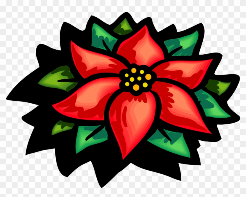 Vector Illustration Of Poinsettia Traditional Christmas - Legend Of The Poinsettia Printable Story Clipart #1664130