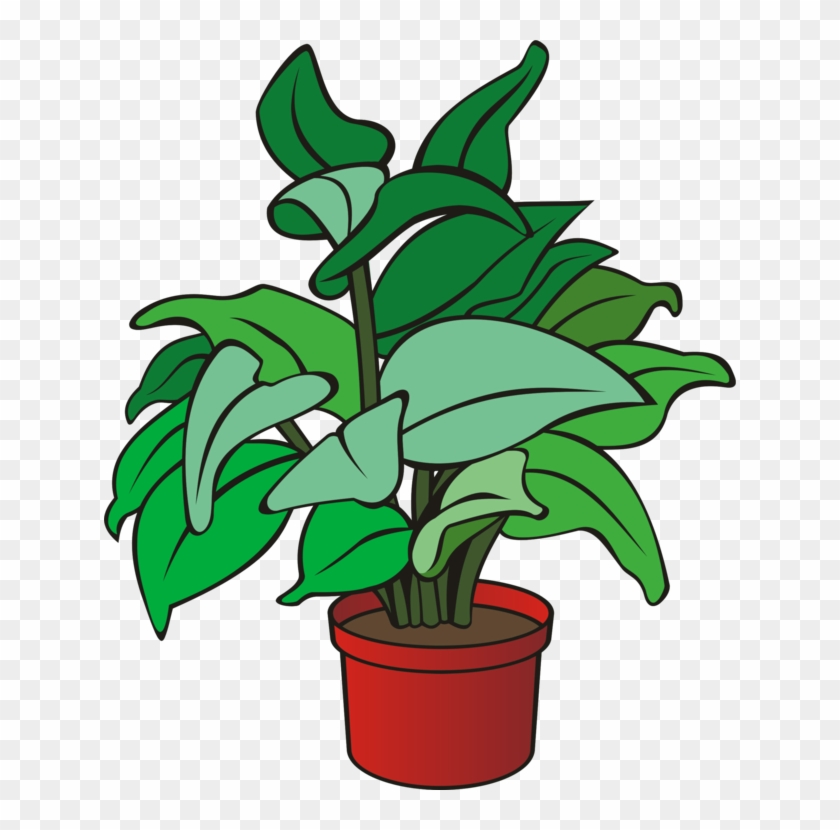Houseplant Flowerpot Poinsettia Computer Icons - Plants Clipart Png Transparent Png