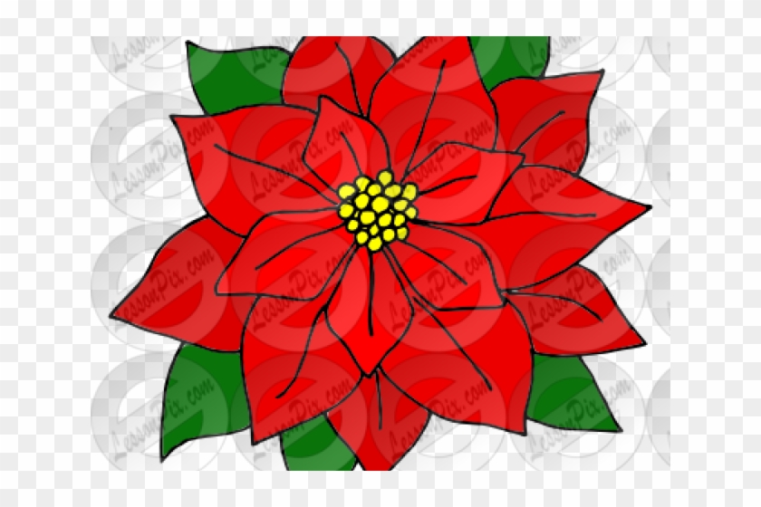 Poinsettia Clipart #1664315