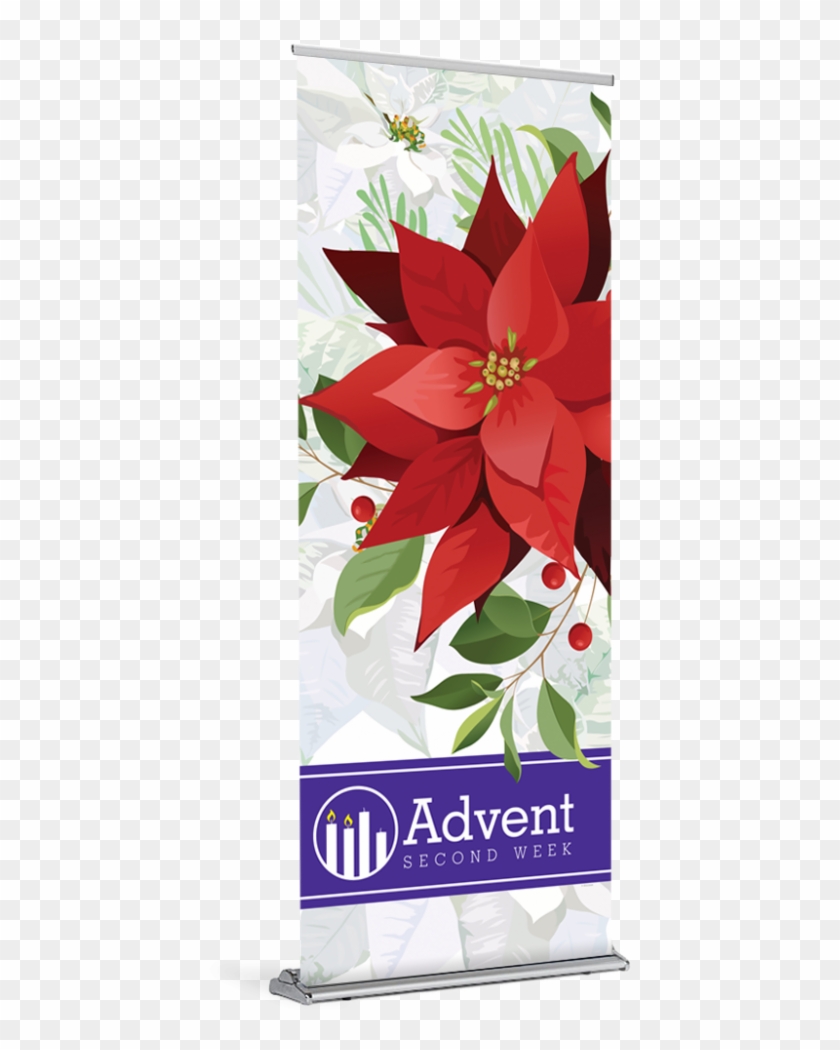 Advent Poinsettia Week 2 Banner - Poinsettia Clipart