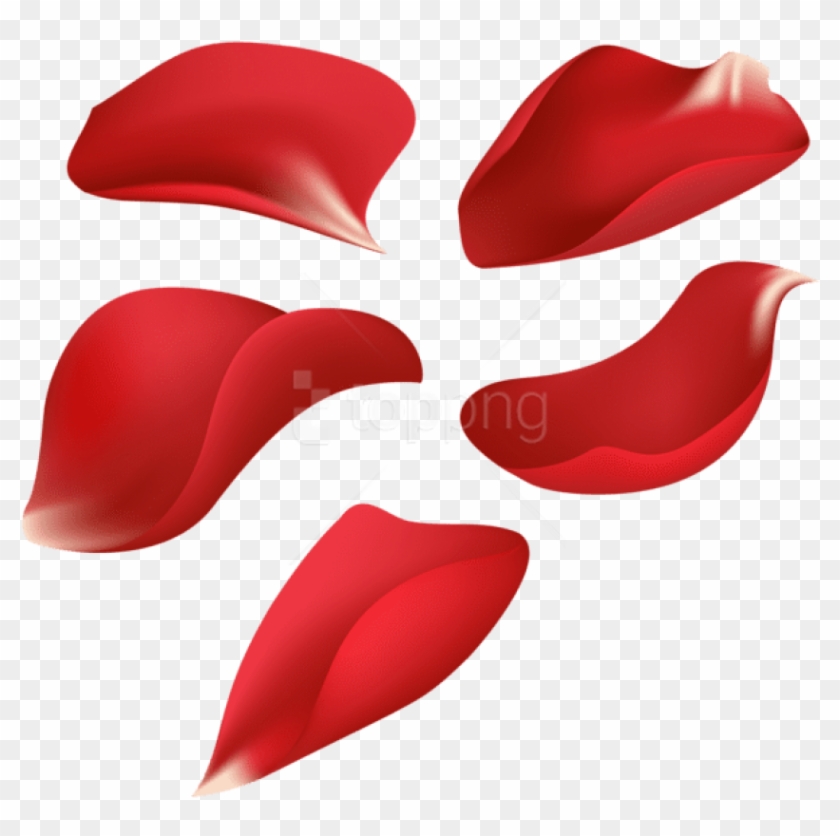 Free Png Download Red Rose Petals Transparent Png Images - Transparent Red Rose Petals Clipart #1664549